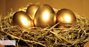 تخم طلایی | دکتر زندگی