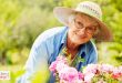 20 توصیه‌ی کلیدی به سالمندان | دکتر زندگی